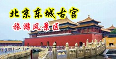 想被人艹逼逼中国北京-东城古宫旅游风景区